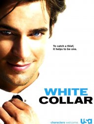 FBI : Duo très spécial (2009) saison 5