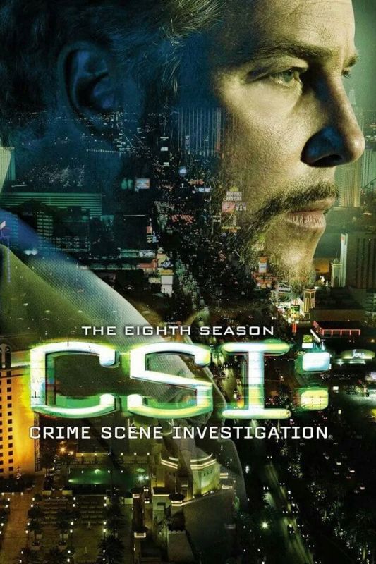 Les Experts saison 8